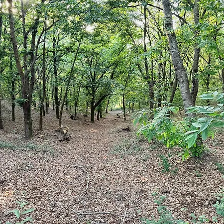 Do Alto Da Coutada Horská chata