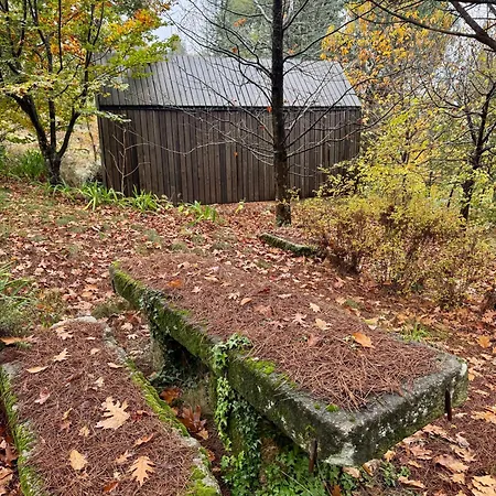Do Alto Da Coutada